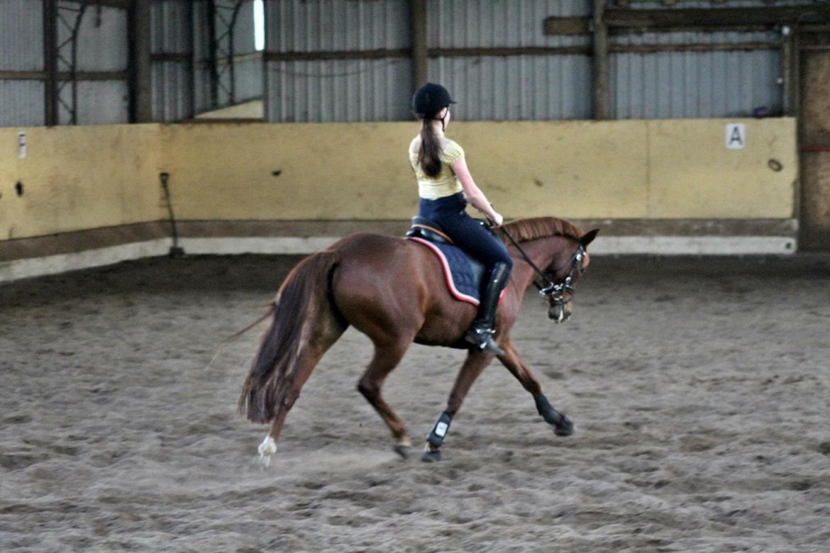 DSP Rawa's Poéme[mit liv]<3 - Dressur undervisning hos Kay Walton. Super pony<3

FOTO: Baun photo billede 11