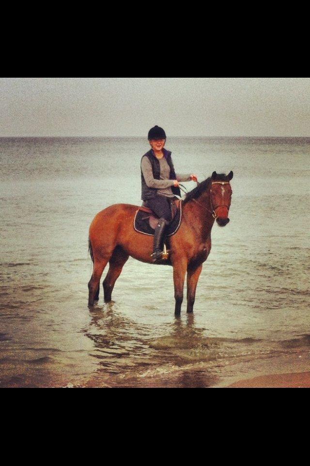 Holstener Quanita - Quanita på Hornbæk strand :) billede 3