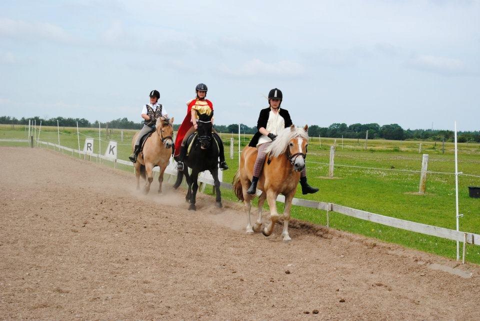 Haflinger Lille Pepsi - Øver opvisning på ridelejr 2012. billede 6