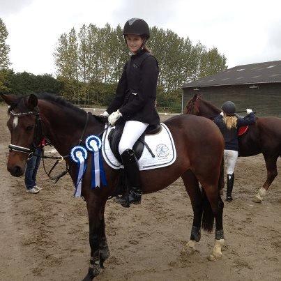 Welsh Partbred (Sec F) GROEZE'S JOSINA - LC og LB* - 2 andenpladser! Tæt på at vinde begge klasser <3 billede 4