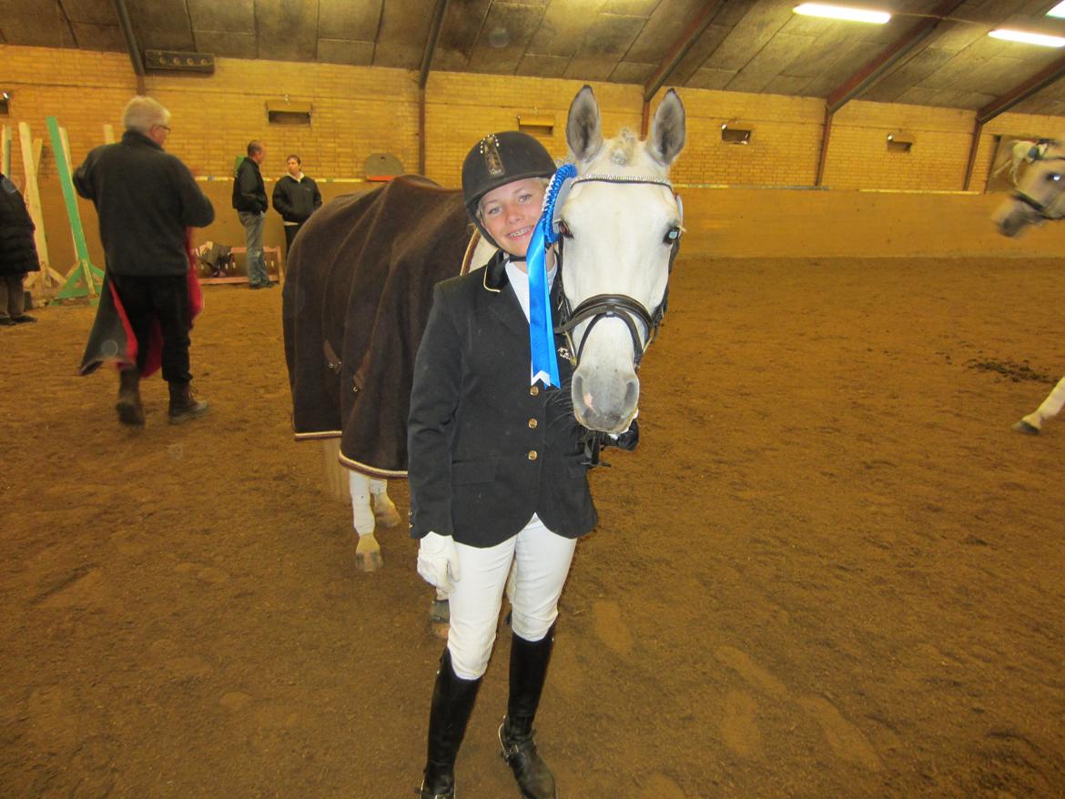 Welsh Pony (sec B) Fjorvangens Evian billede 17