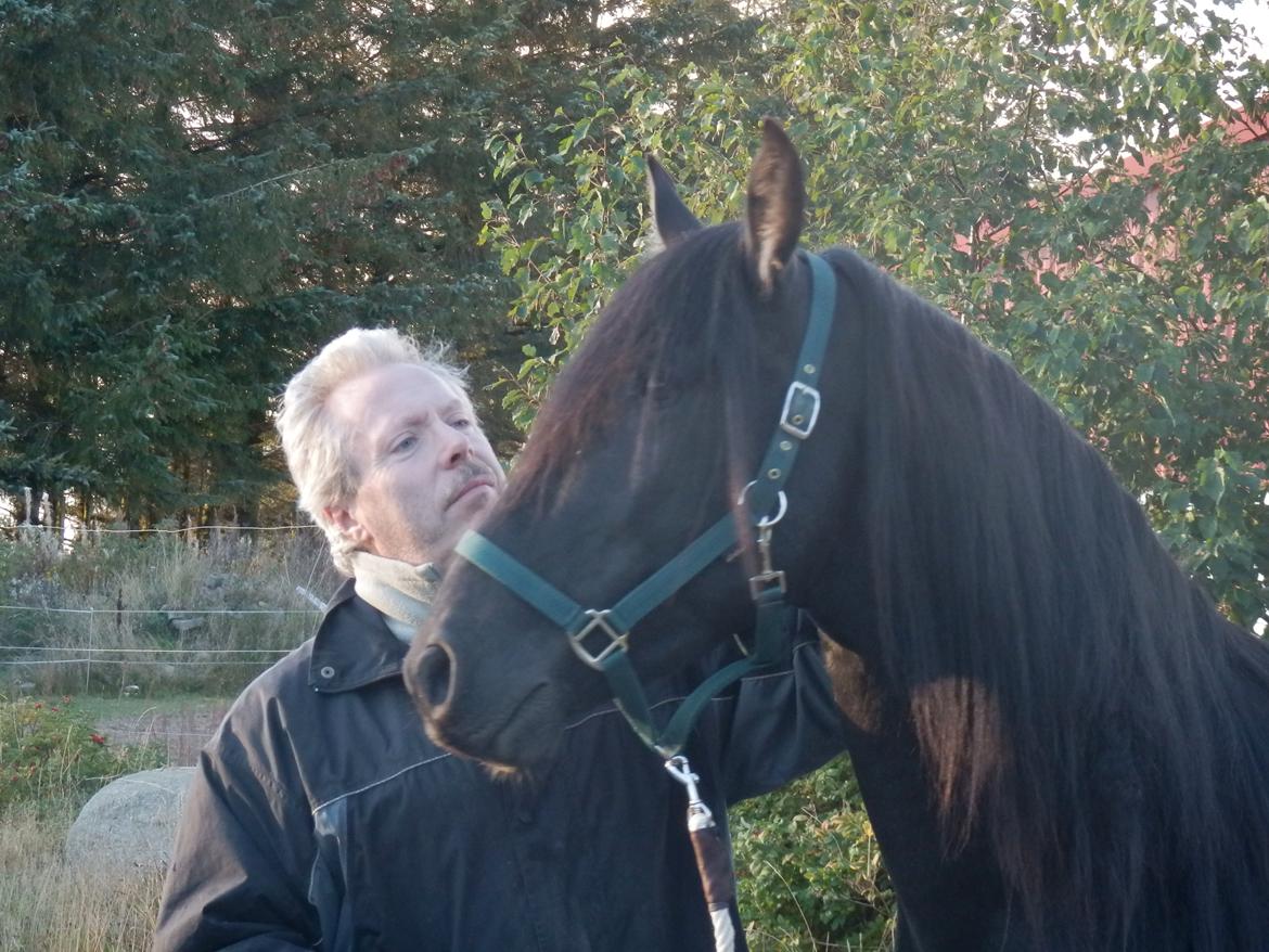 Pura Raza Española YC Bizarro - YC Bizarro 2012 billede 1