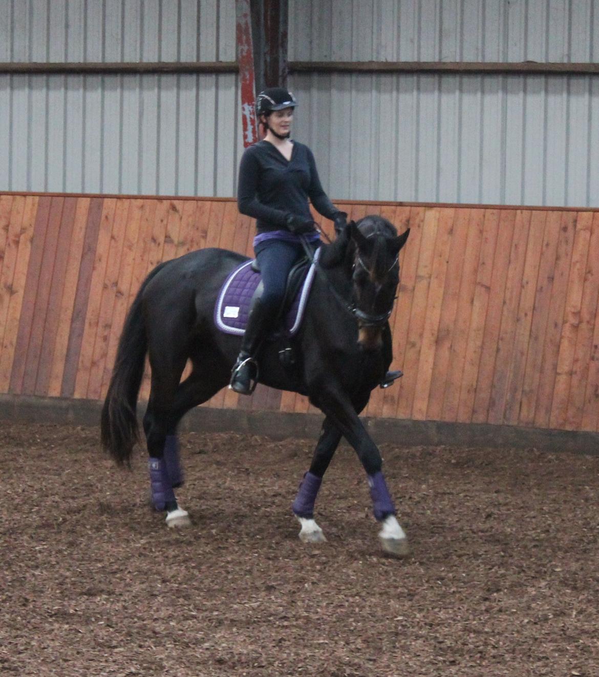 Dansk Varmblod KOKO R.I.P - Undervisning d. 19-10-2012 billede 20