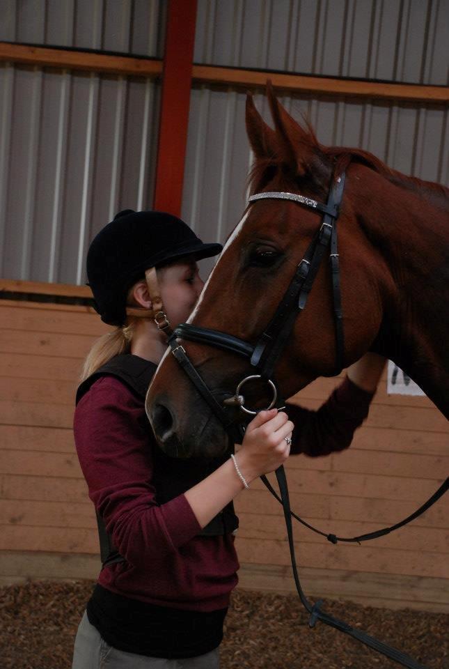 Dansk Varmblod Carmen Electra - Carmen d. 20 Oktober - Lundby Efterskole billede 13