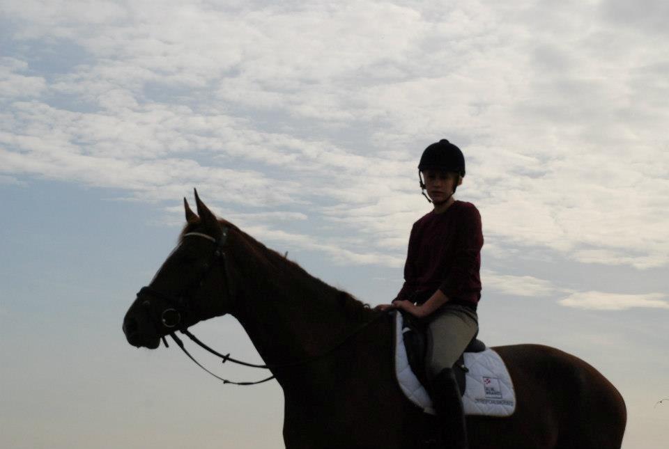 Dansk Varmblod Carmen Electra - Carmen d. 20 Oktober - Lundby Efterskole billede 14