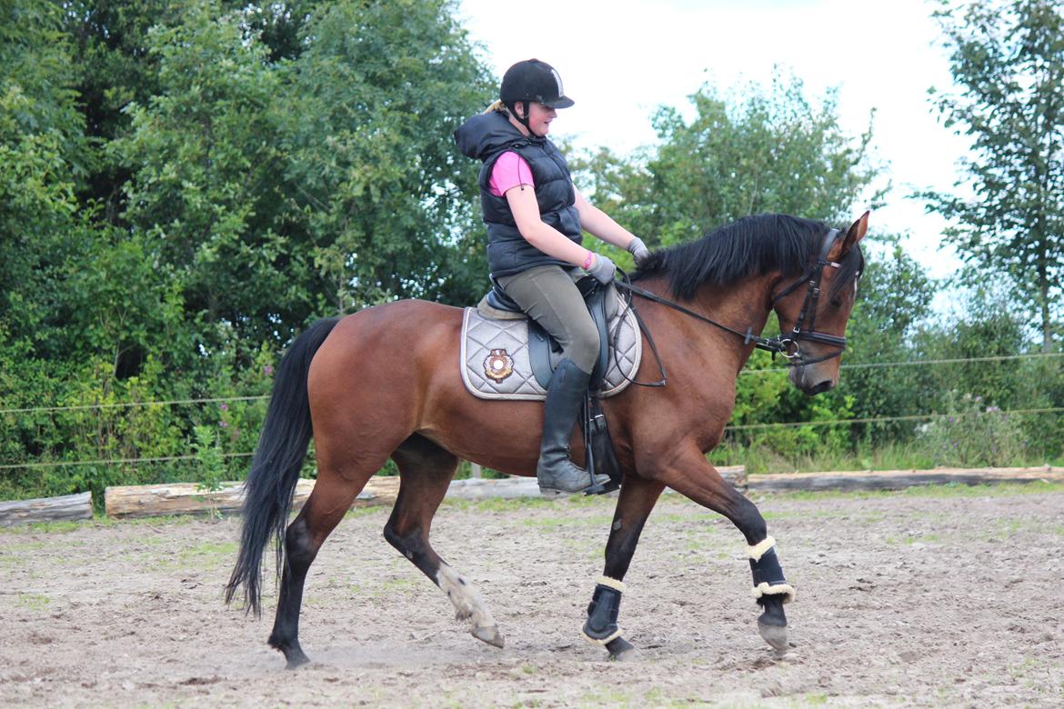 DSP Shamrocks Massa E Cozzile billede 14