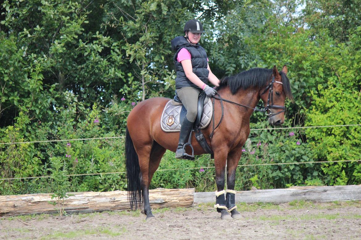 DSP Shamrocks Massa E Cozzile billede 15