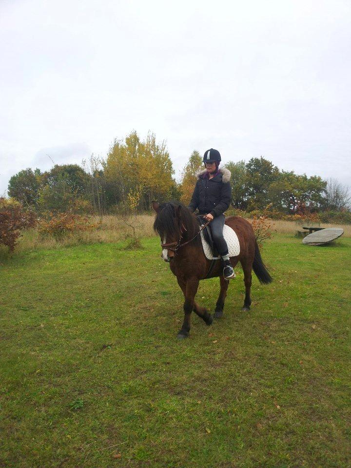 Anden særlig race Lucas. - 21/10/-2012. billede 3