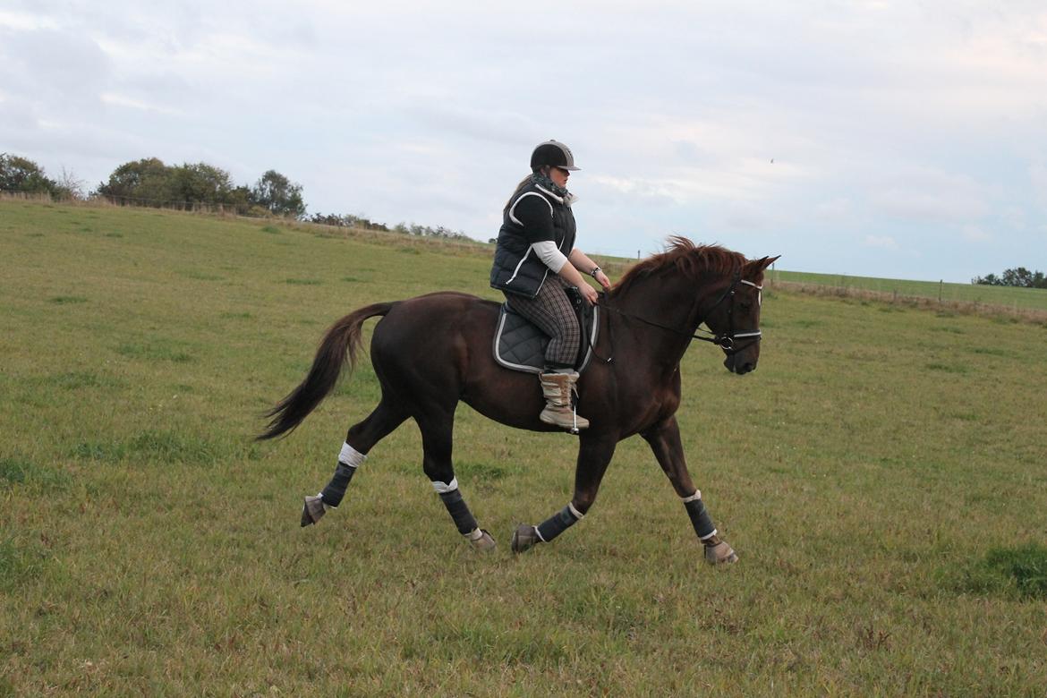 Hannoveraner Wikinger ;) - hygge tur med Kris i oktober. billede 9