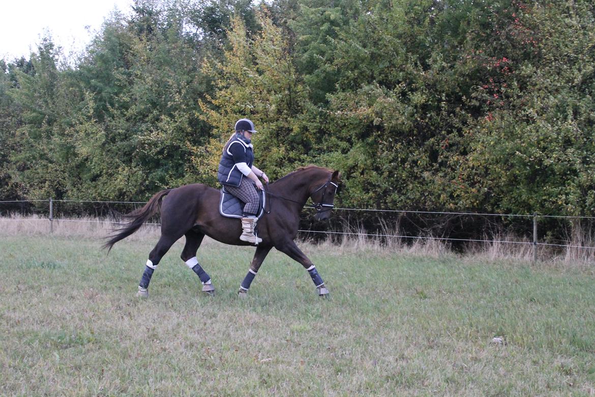 Hannoveraner Wikinger ;) - hygge tur med Kris i oktober. billede 3