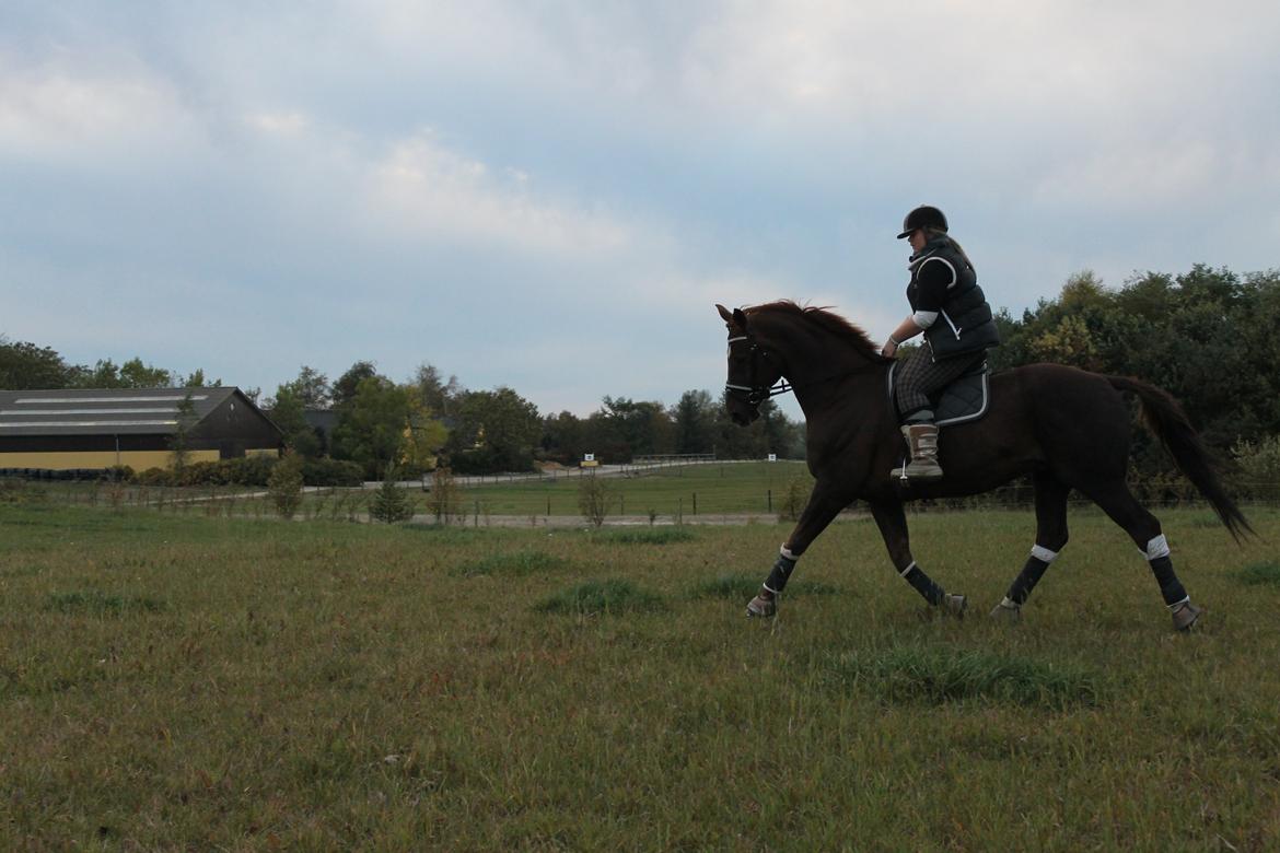 Hannoveraner Wikinger ;) - hygge tur med Kris i oktober. billede 11