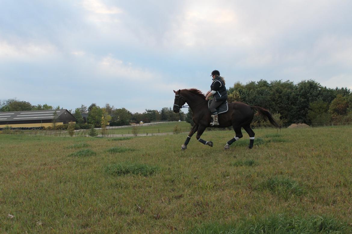 Hannoveraner Wikinger ;) - hygge tur med Kris i oktober. 2012 billede 7