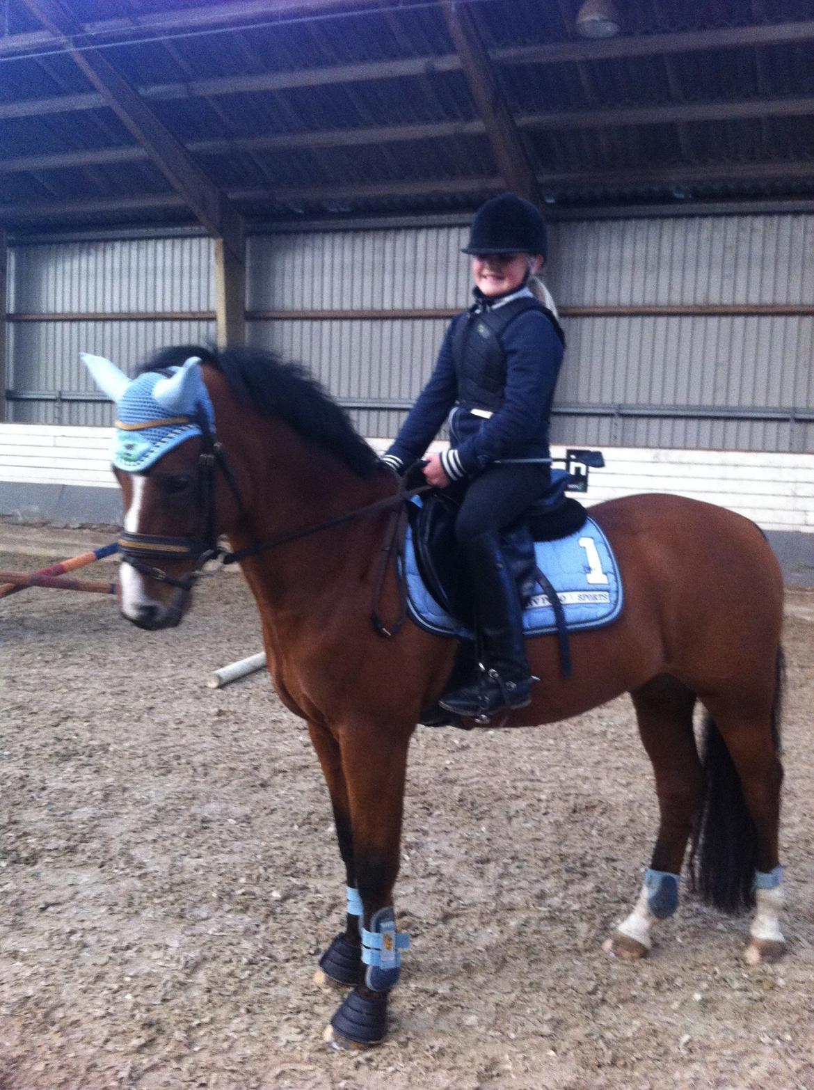 New Forest Fuglekildes Macoy billede 10