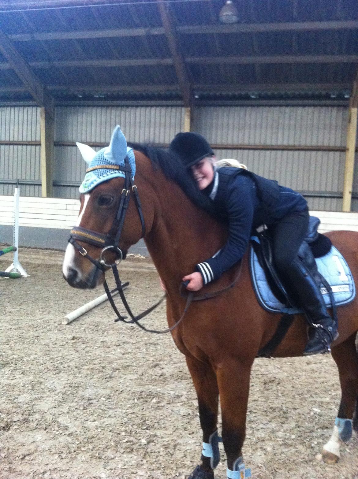 New Forest Fuglekildes Macoy - Min elskede Coysen billede 4