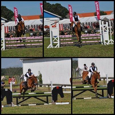 Anden særlig race Bounty <3 - stævne d. 5-8 juli 2012 hodsager
LD hest - 90 cm billede 20