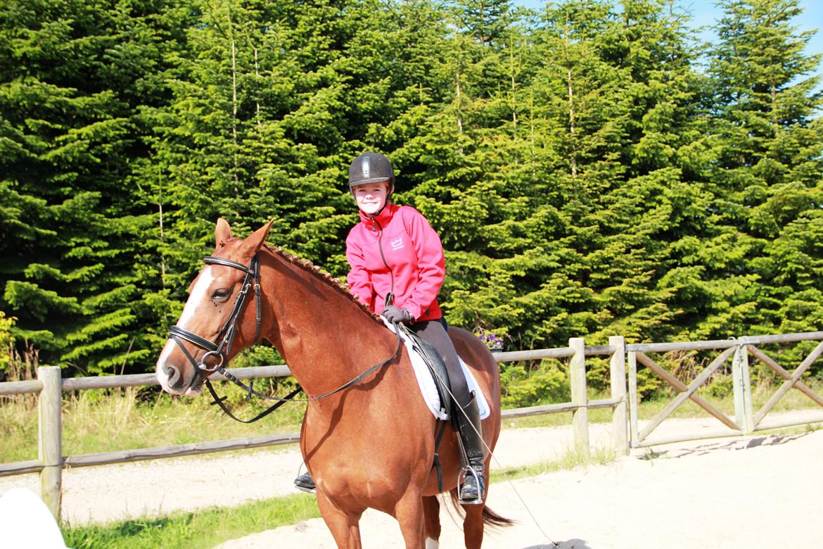 Frederiksborg Østervangs Fleur De Lis billede 7