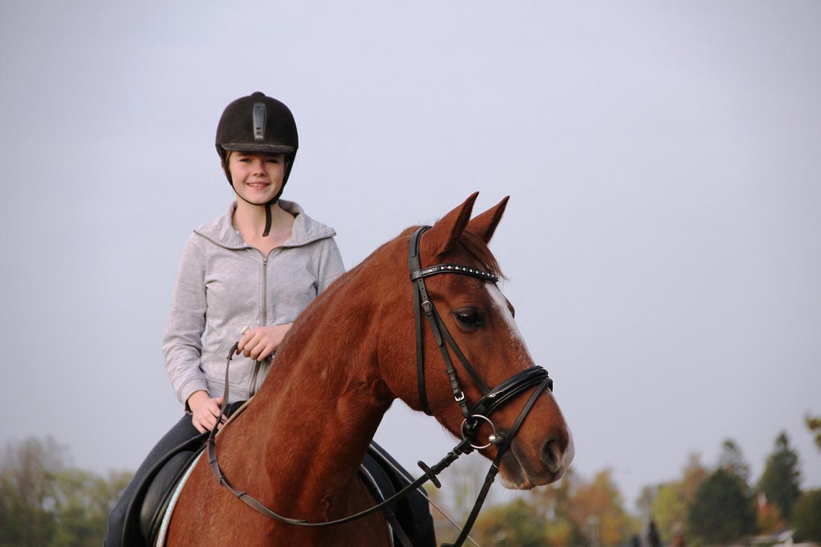 Frederiksborg Østervangs Fleur De Lis billede 14