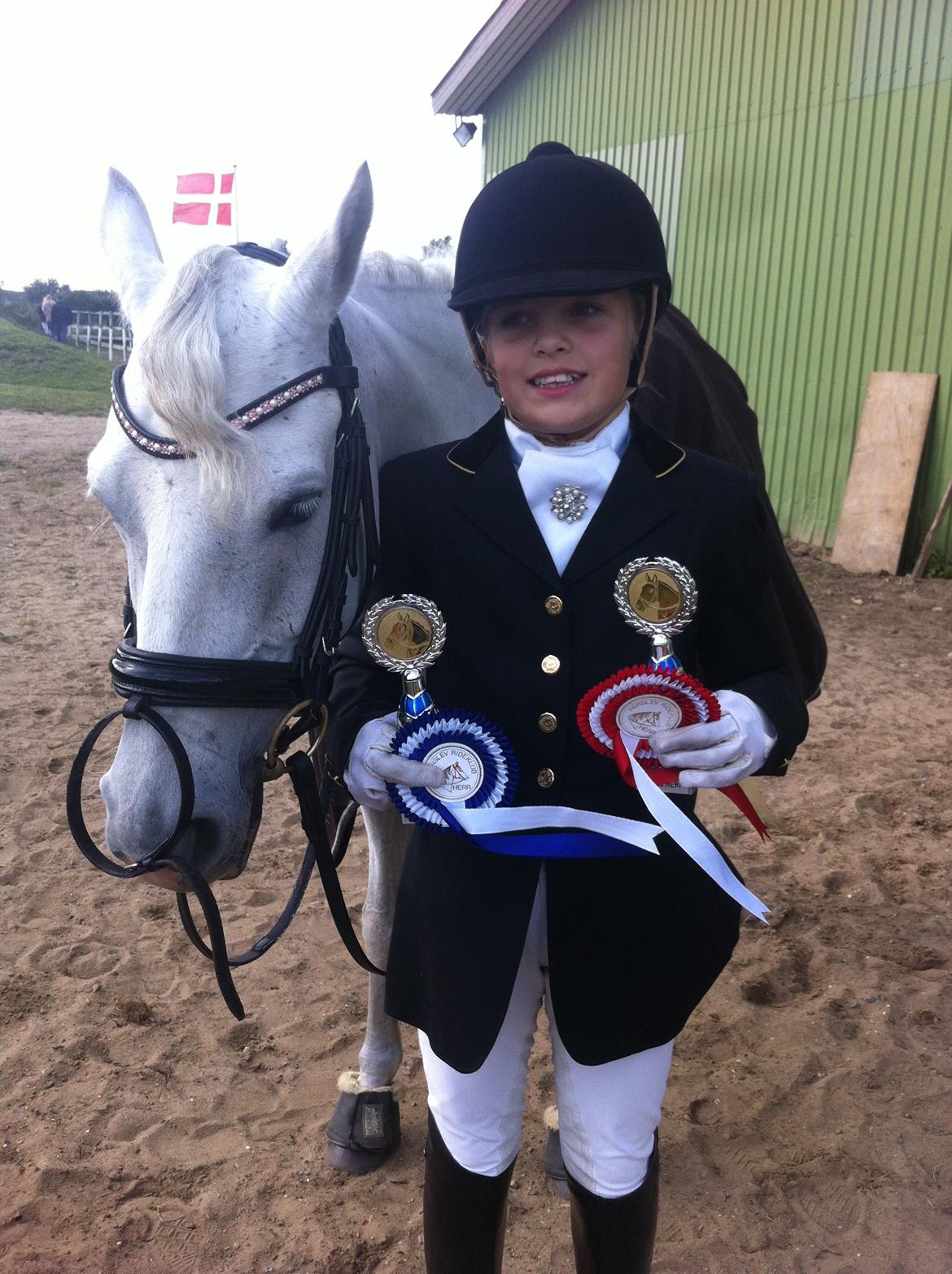 Hollandsk Sportspony Powergirl A-PONY billede 19