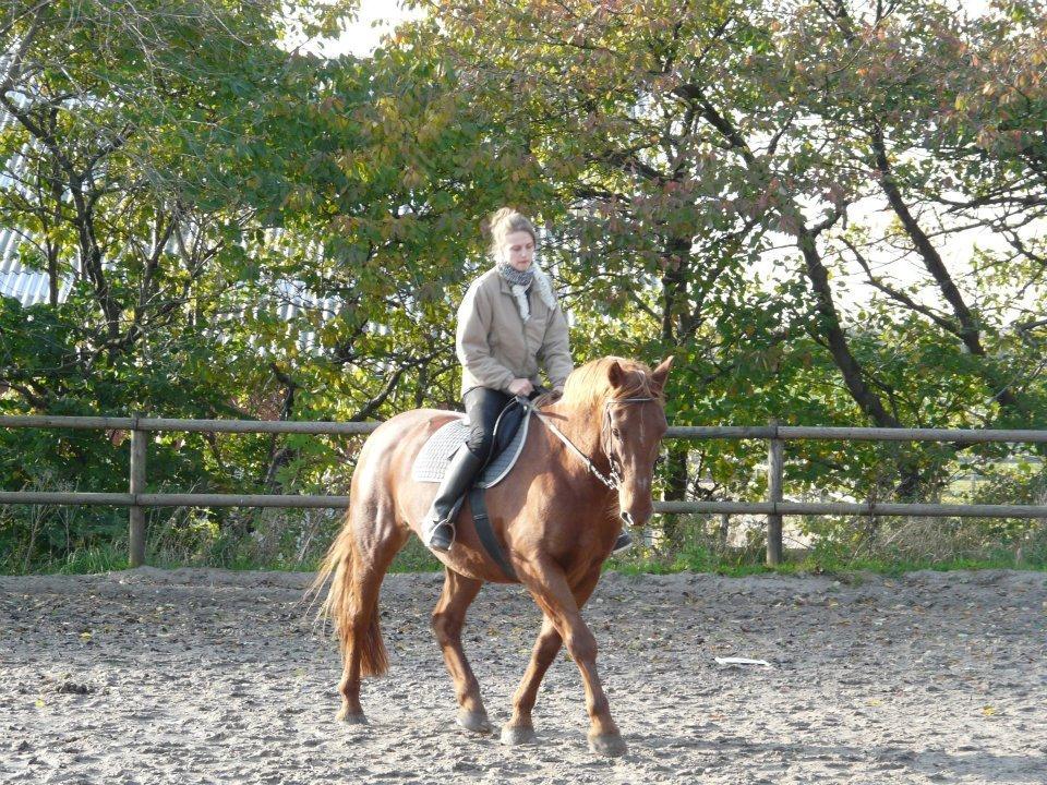 Frederiksborg Tjalfe billede 1