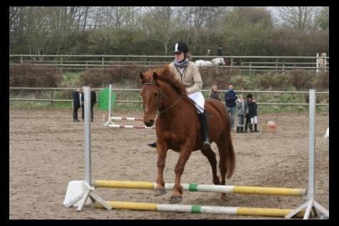 Frederiksborg Tjalfe billede 5