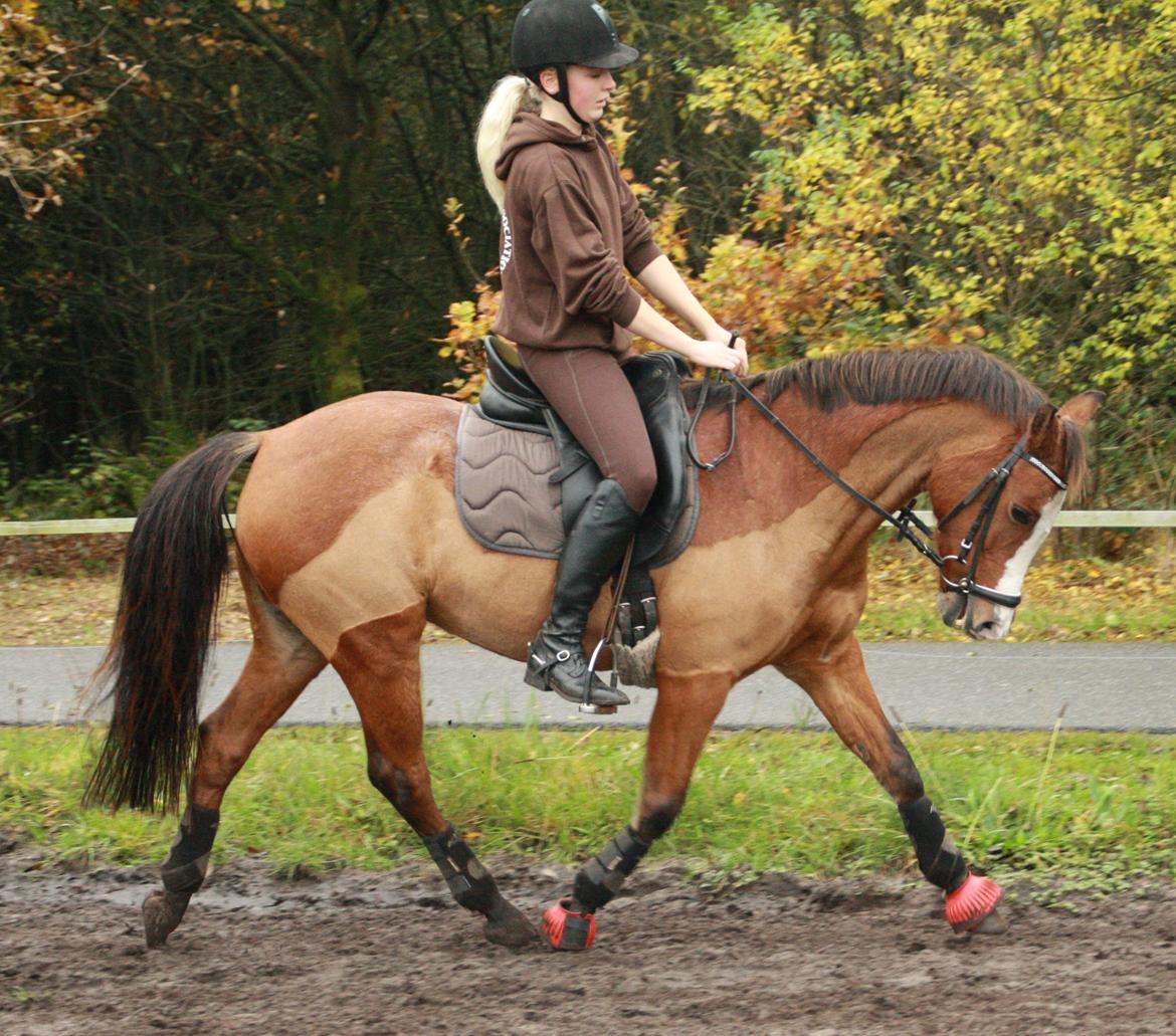 Anden særlig race Lady - <3 billede 3