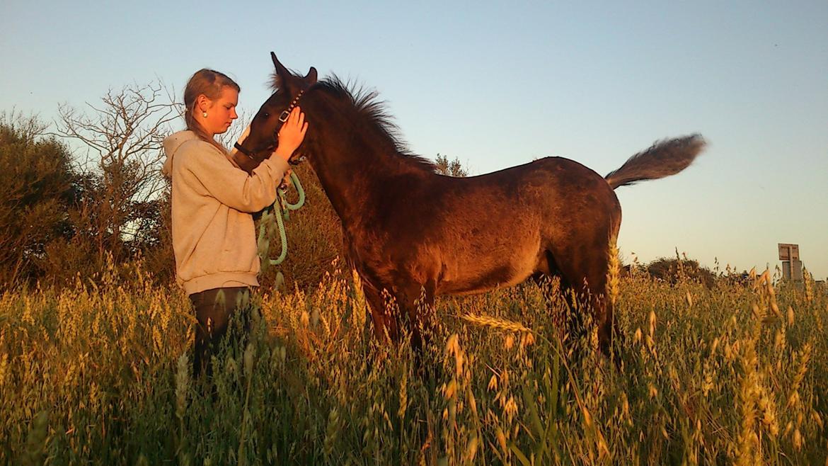 Tinker Jesper billede 1