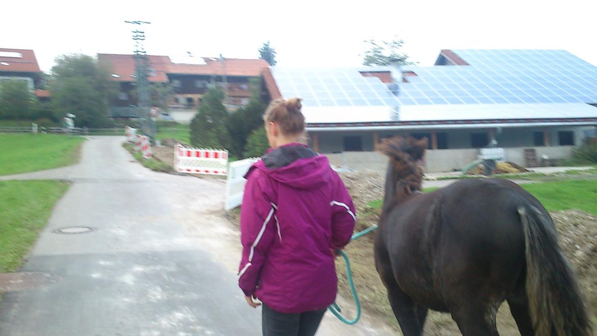 Tinker Jesper - Billedet er taget i sydtyskland billede 5