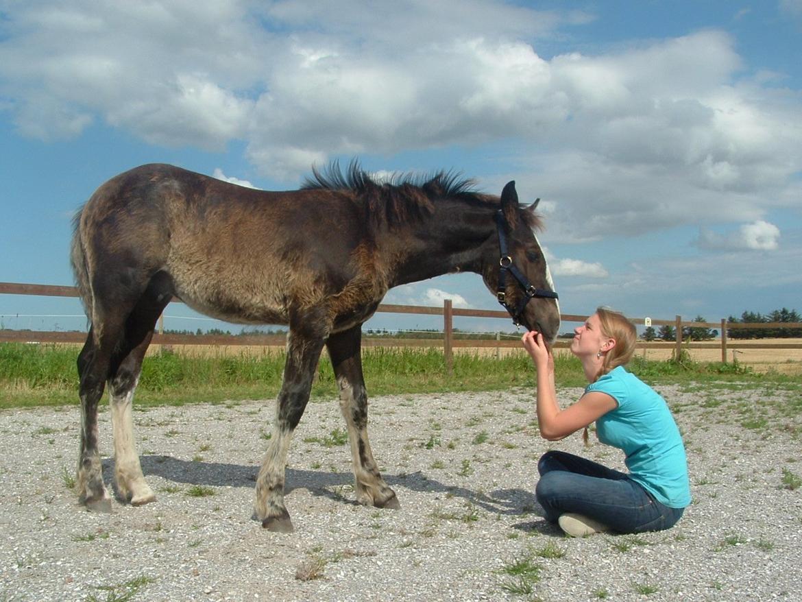 Tinker Jesper billede 3