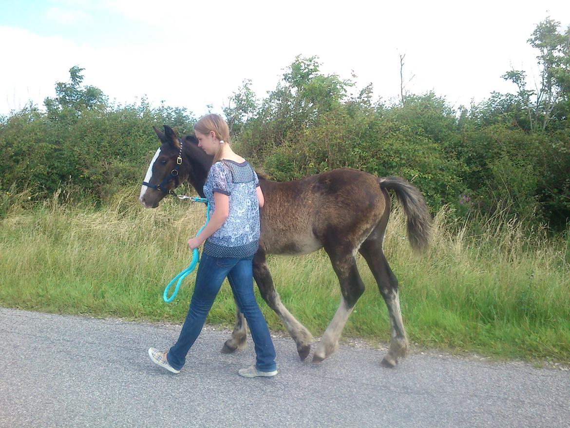 Tinker Jesper billede 4