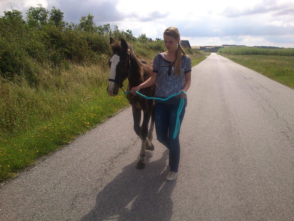 Tinker Jesper billede 9