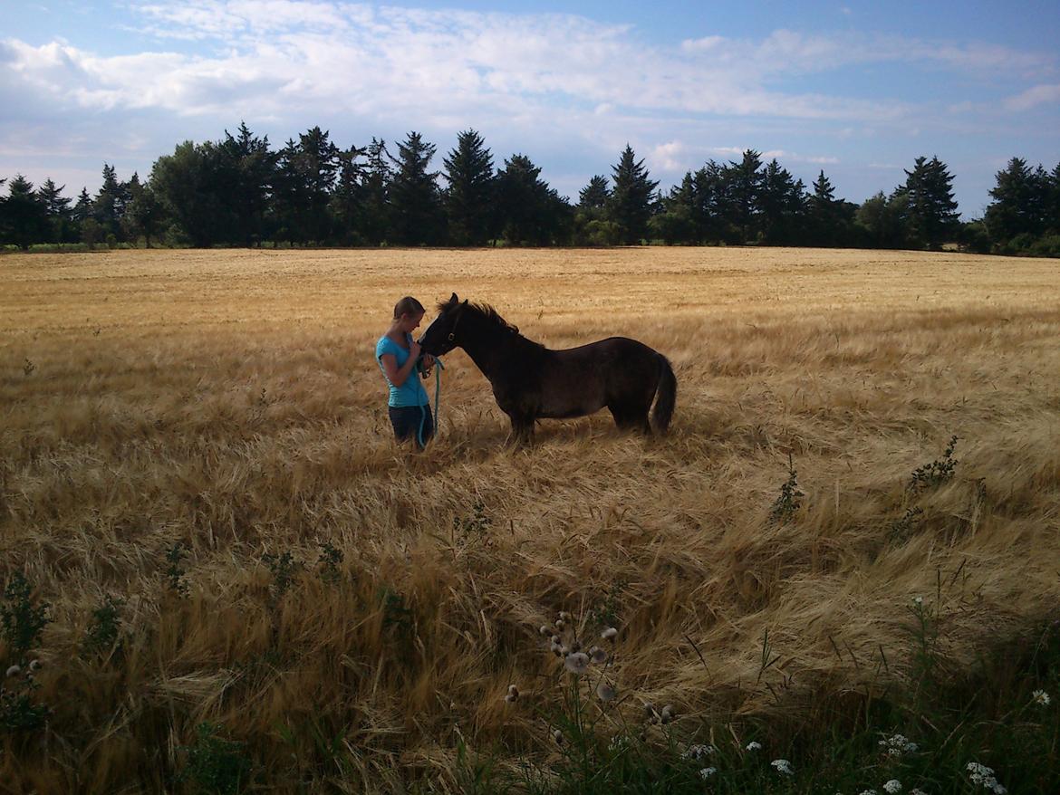 Tinker Jesper billede 6