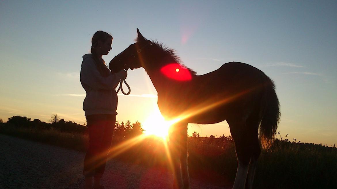 Tinker Jesper billede 7