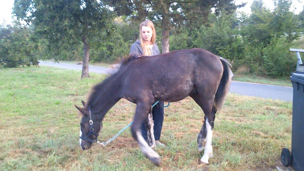 Tinker Jesper - Første pauser i tykland billede 13