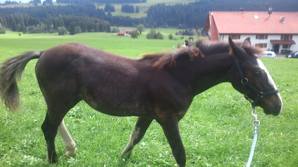 Tinker Jesper billede 14