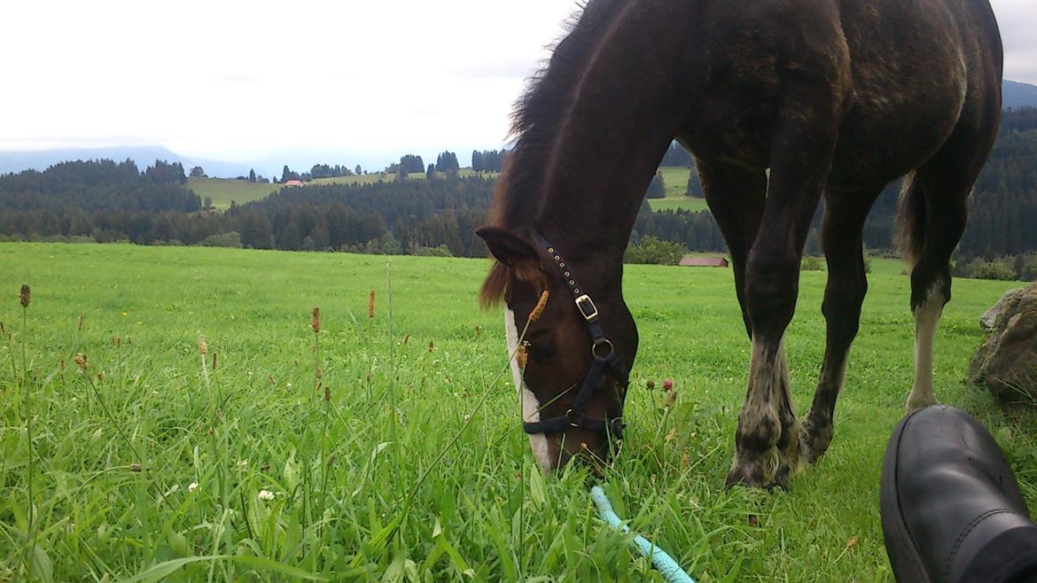 Tinker Jesper billede 17