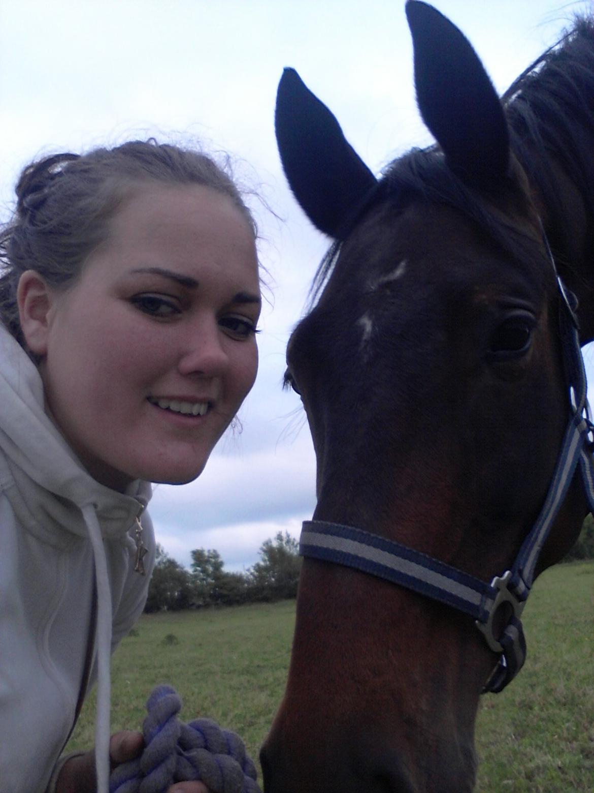 Dansk Varmblod Olympia - Min prinsesse.  billede 8