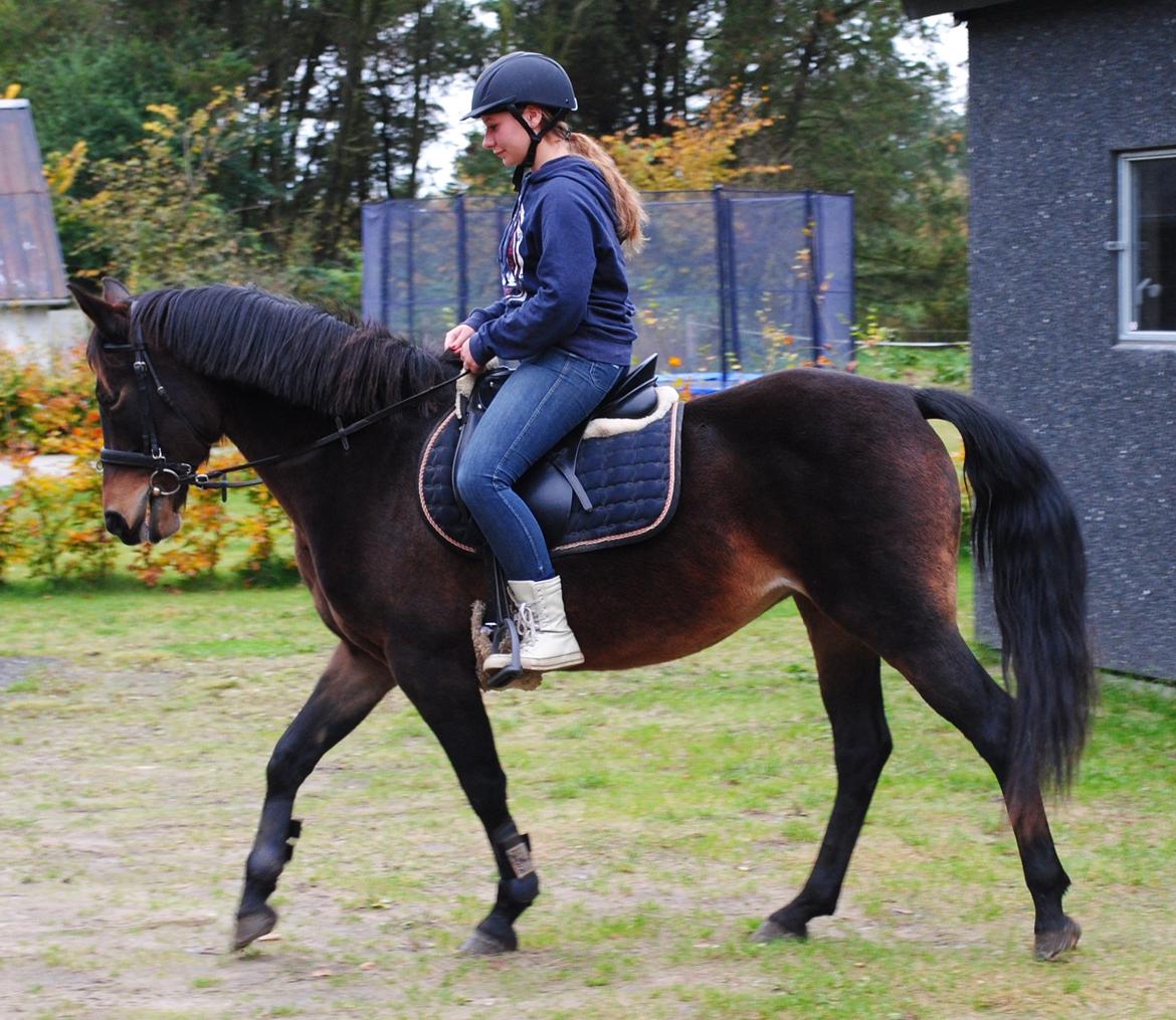 DSP Chanel billede 18