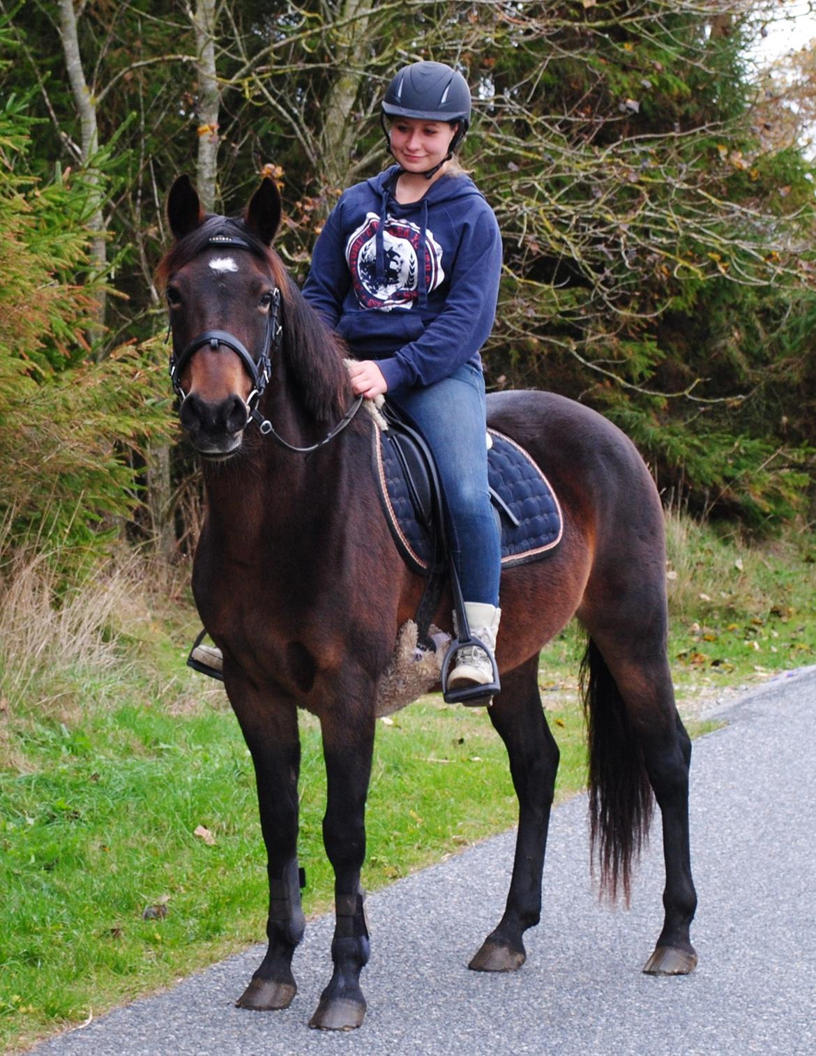 DSP Chanel billede 1