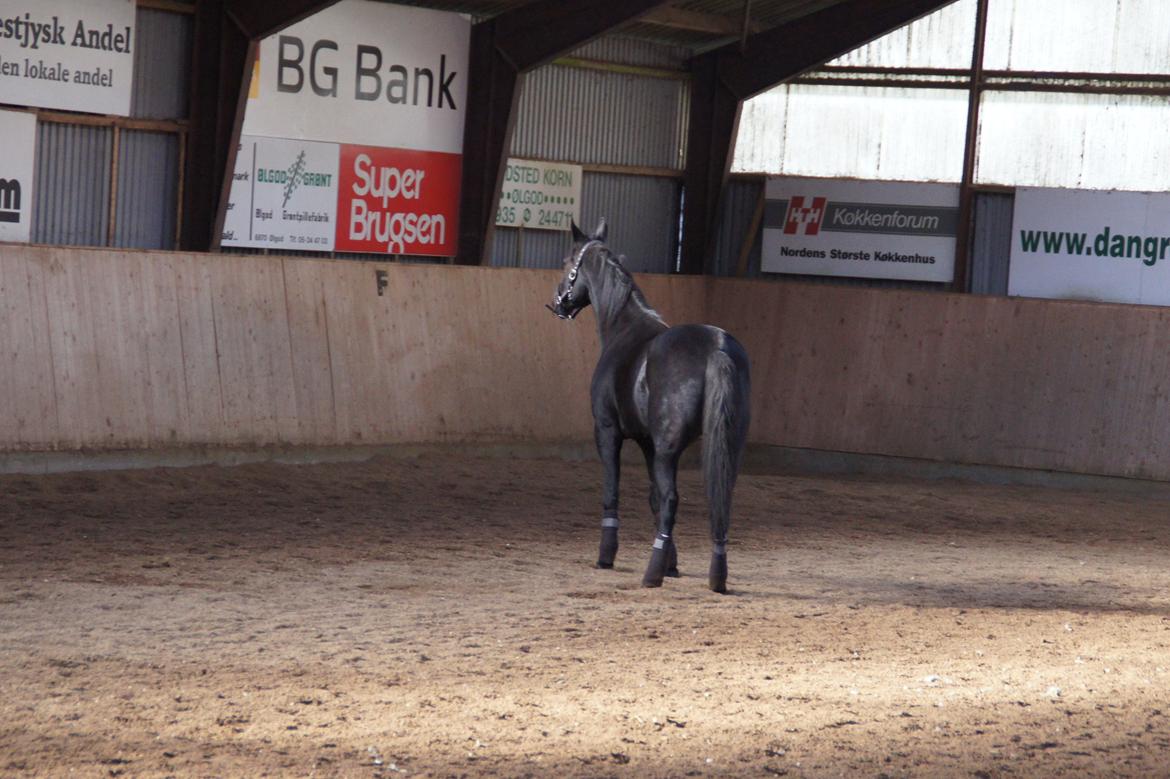 Traver King Of Glory billede 2