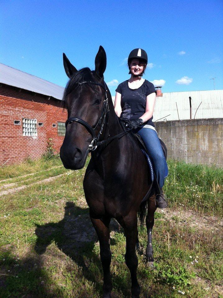 Traver King Of Glory billede 4