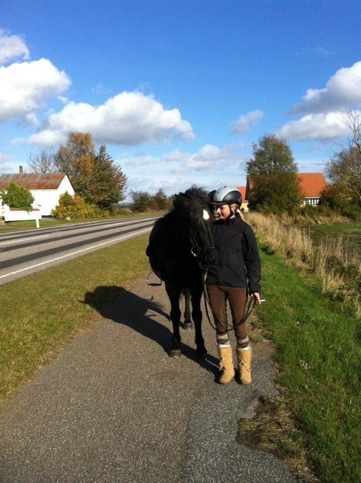 Islænder Rakel fra Vatnsleysu*solgt - 19/10 - efter vores 1. tur sammen. billede 2