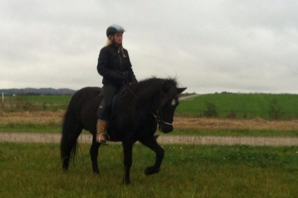 Islænder Rakel fra Vatnsleysu*solgt billede 3