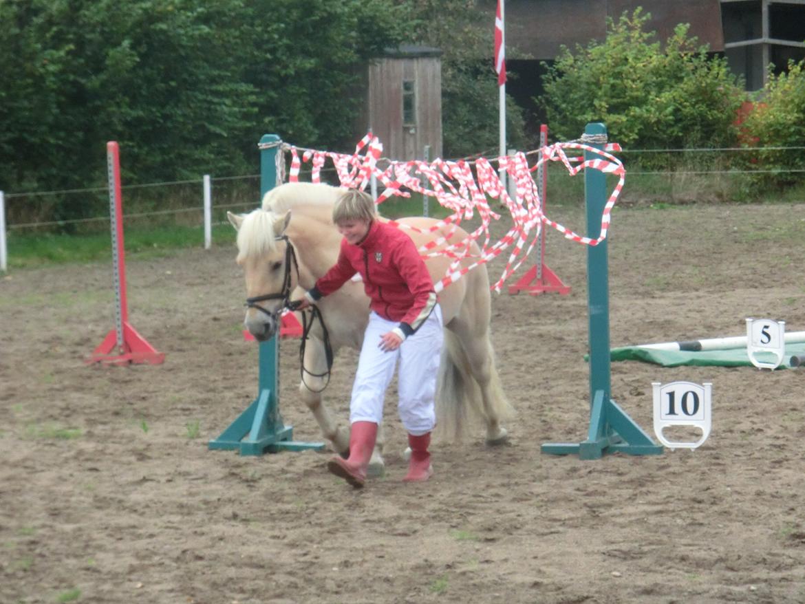 Fjordhest Vængets Fjalar #Klubmester 2013# - sammen kan vi gå gennem alt :D billede 23