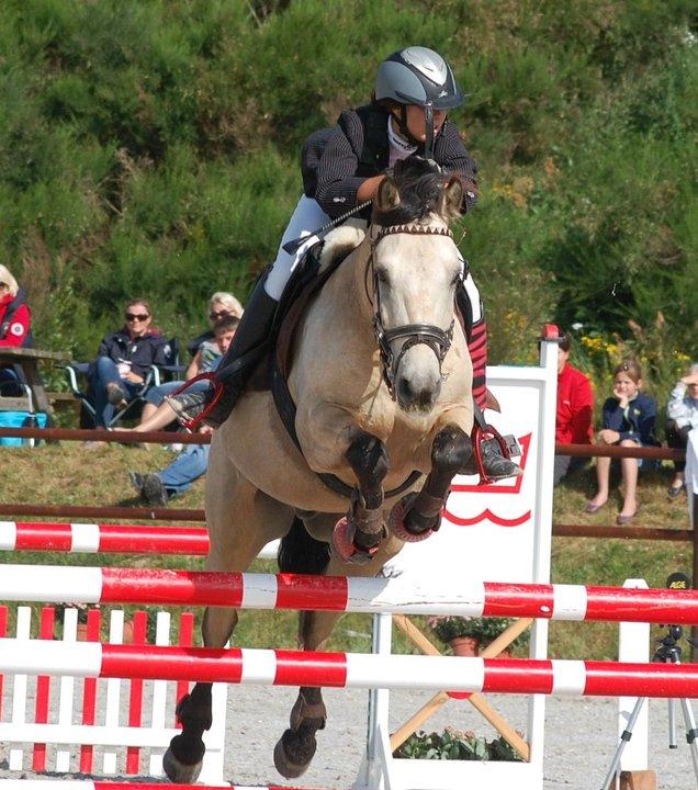 Irsk Sportspony BYE BYE HAZEL SOLGT. - LA billede 18