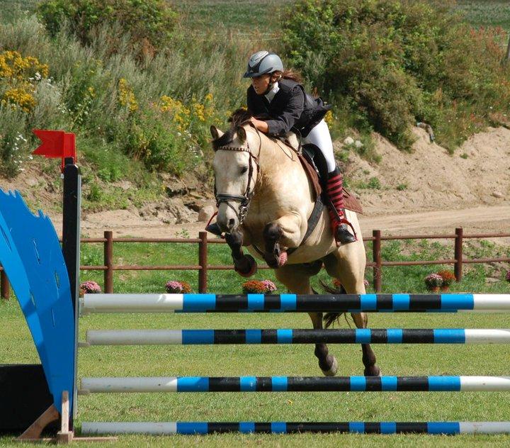 Irsk Sportspony BYE BYE HAZEL SOLGT. billede 19