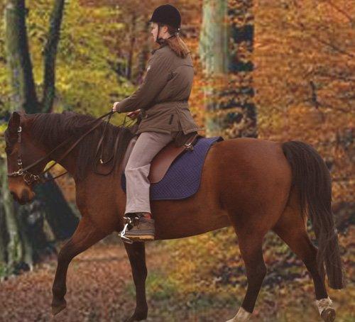 Anden særlig race Athene billede 9