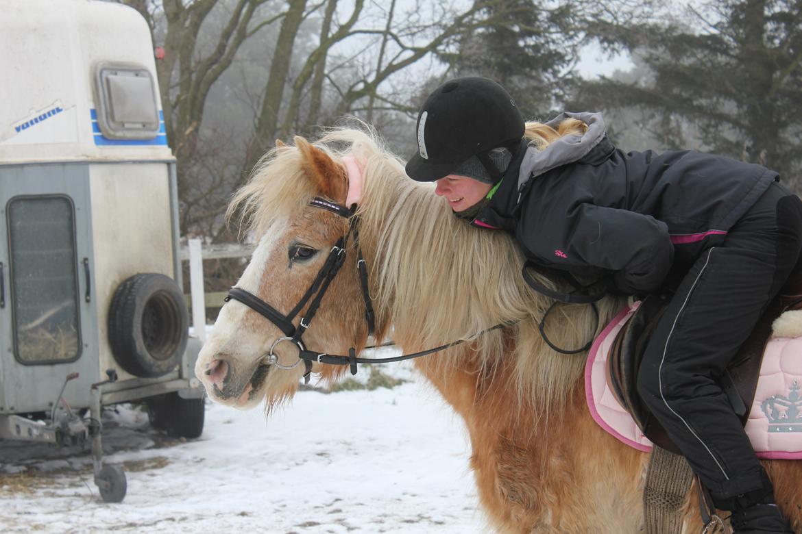 Haflinger Tulle [Solgt] - Du er fantastisk,hved du godt det? <3 billede 2