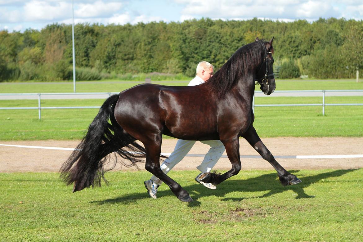 Frieser Elbrich fan 'e Homar Ster(solgt) billede 5