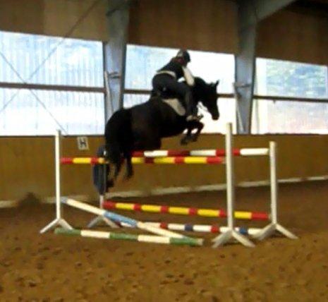 Holstener Unalaska billede 11