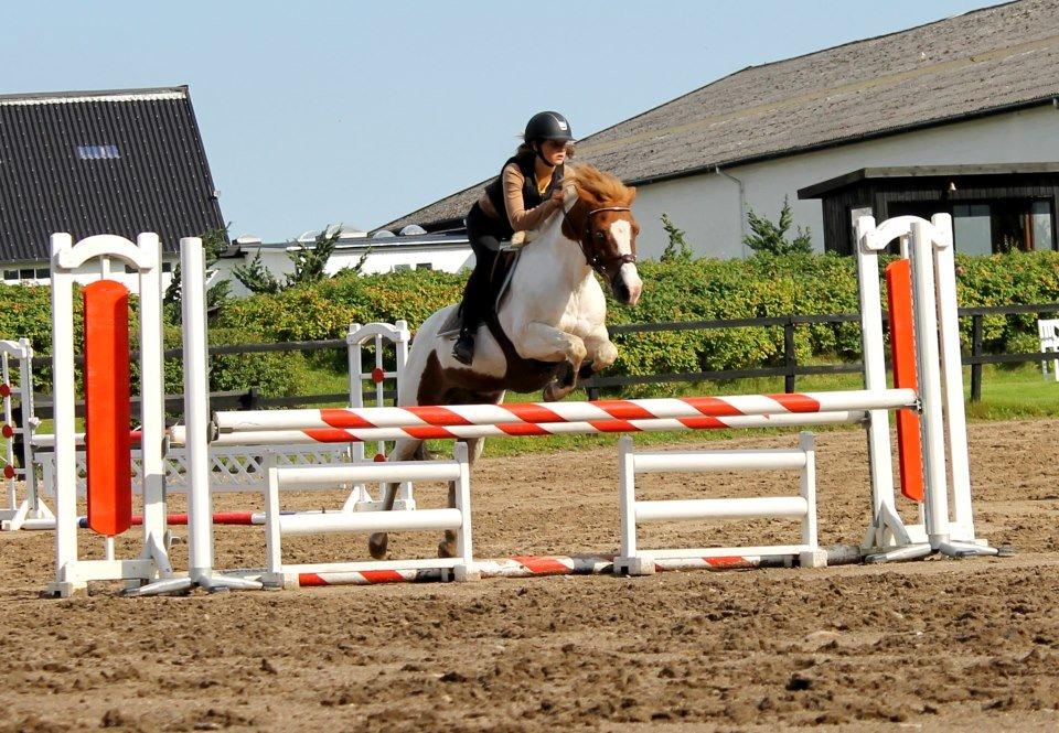 Anden særlig race Tarzan billede 11